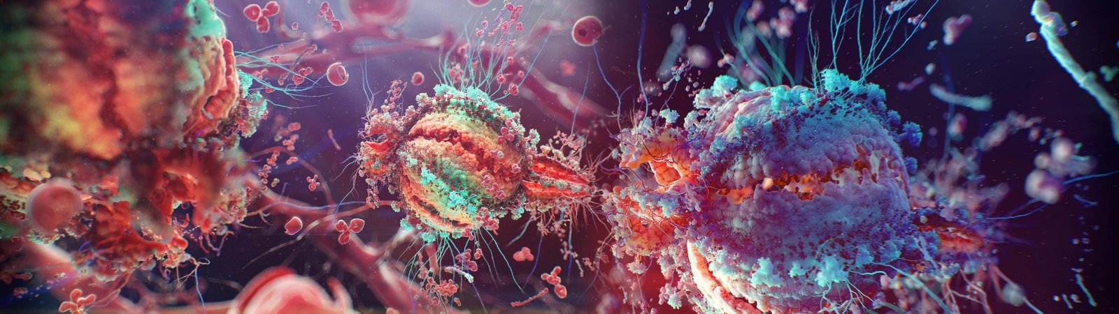 biology viruses nature 2k 4k