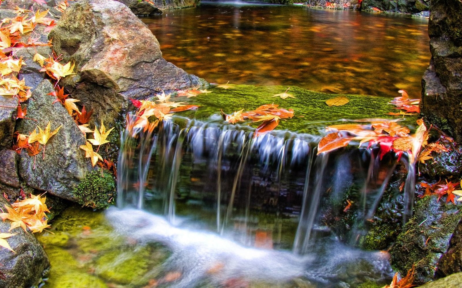 Beautiful Butchart Gardens Waterfall Nature Scenery Wallpaper 2k