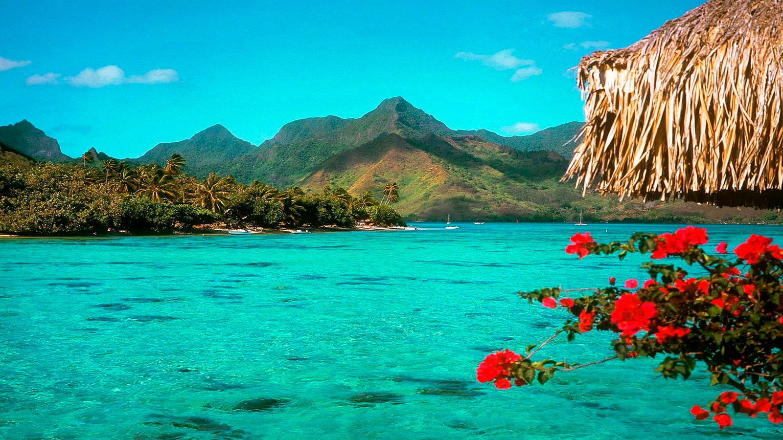 Desktop Background Tropical Beach Screen 2k