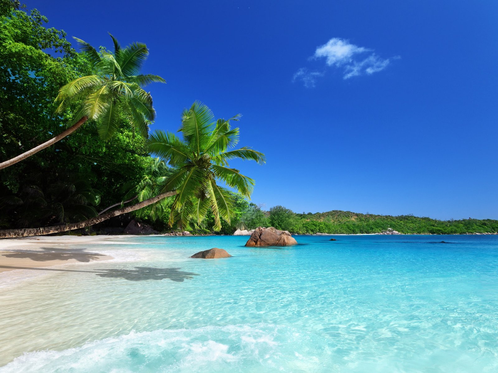 Tropical paradise sunshine beach coast sea palm trees 2k