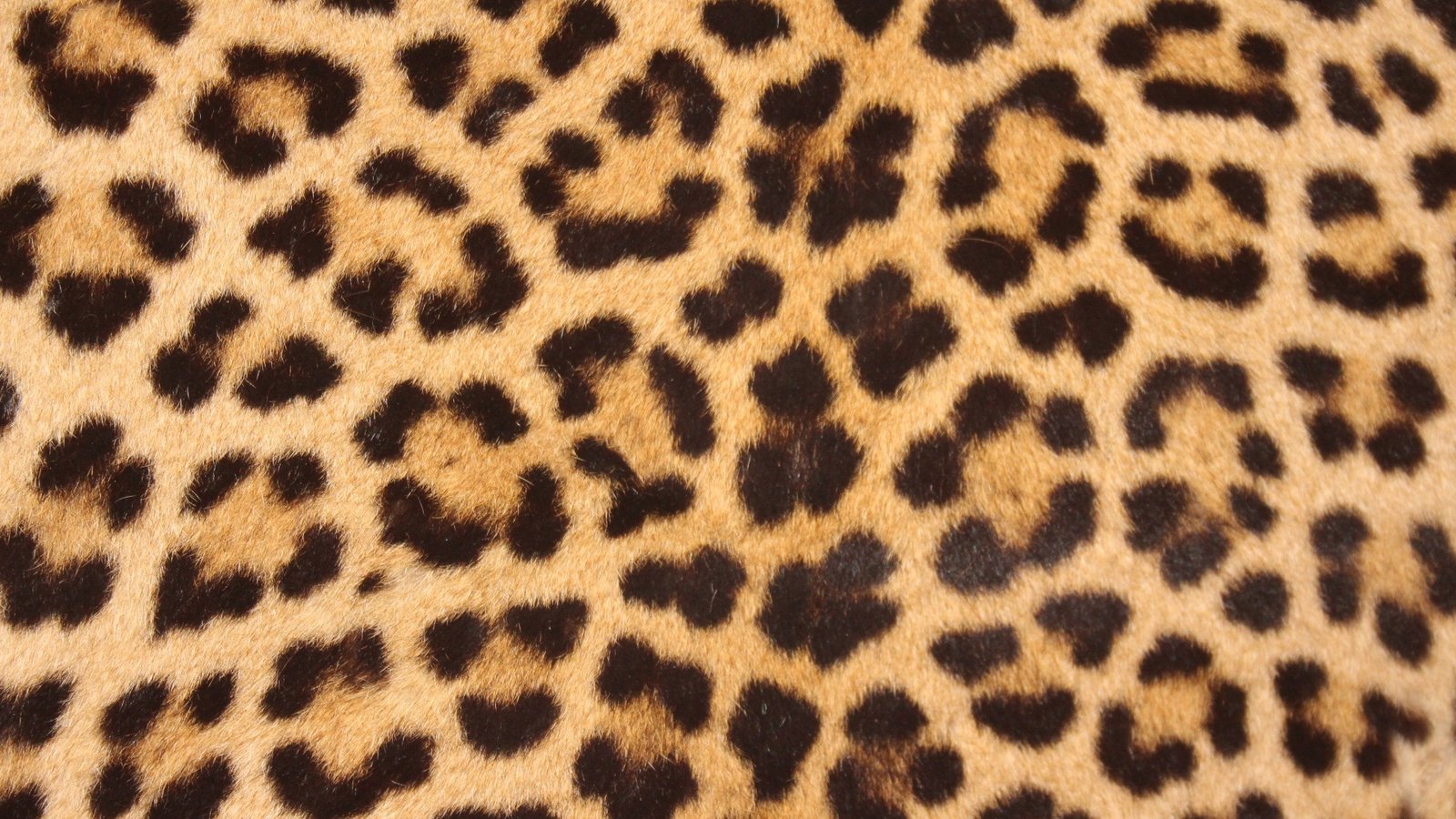 brown and black leopard textile skin spots design 2k