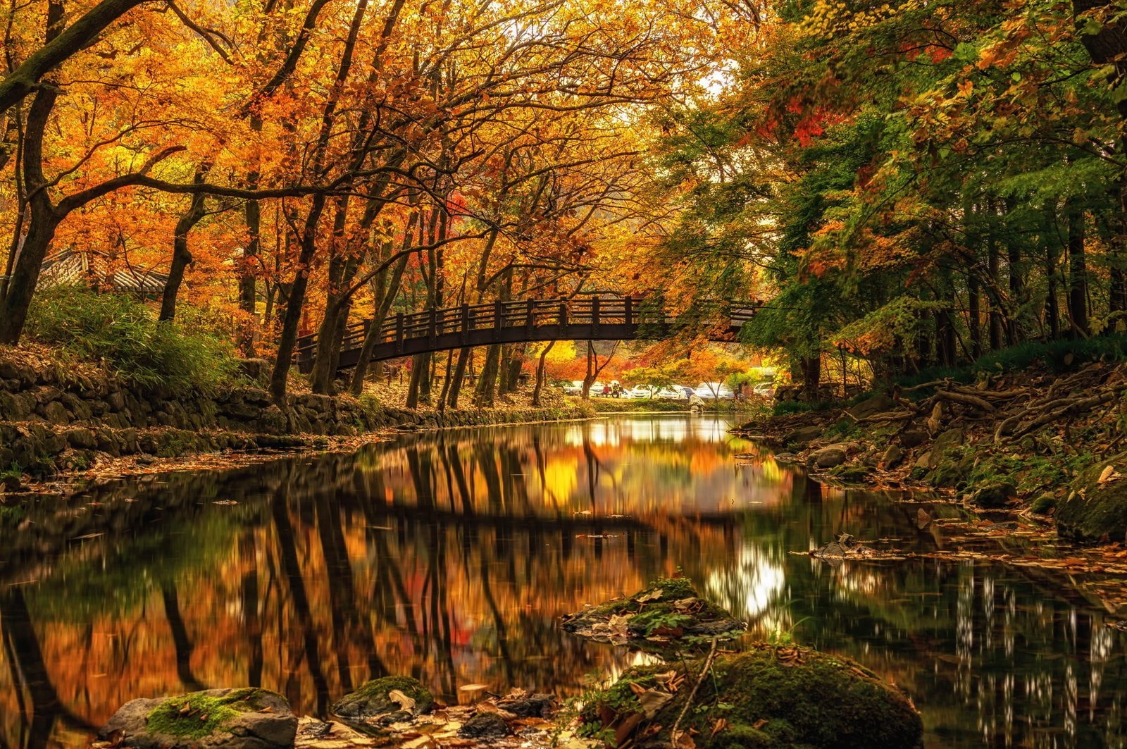 brown wooden bridge on lake landscape water reflective photography of above calm body 2k