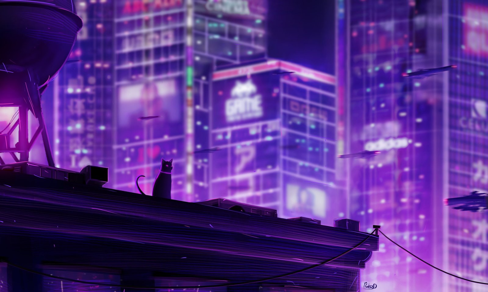 cats lights neon city architecture 2k 4k