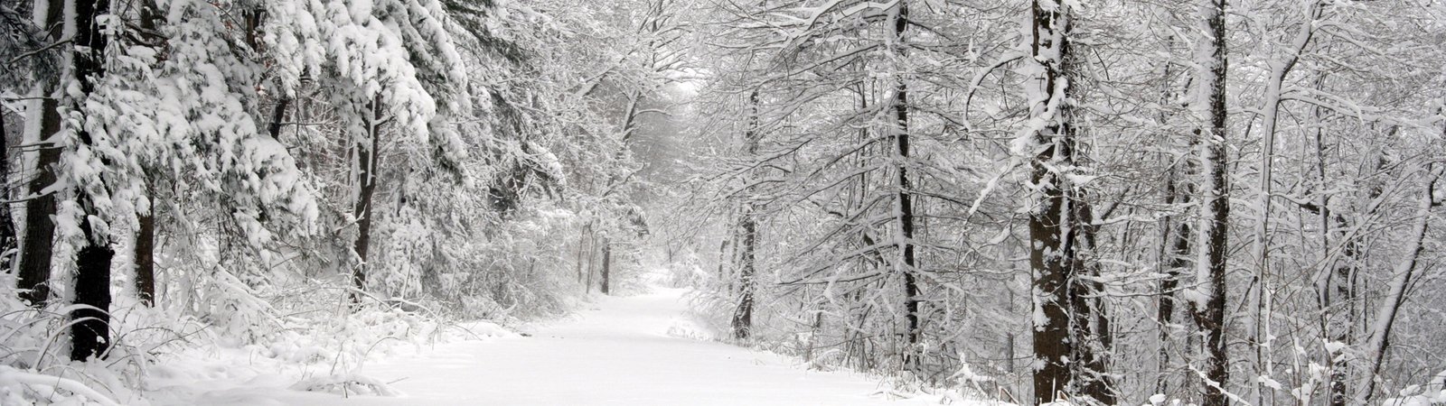 dual screen landscape nature cold temperature snow winter 2k 4k