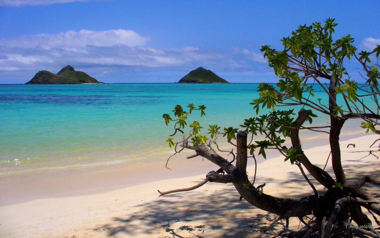 Lanikai Beach In Kailua Hawaiis sea sky water beauty in nature 2k