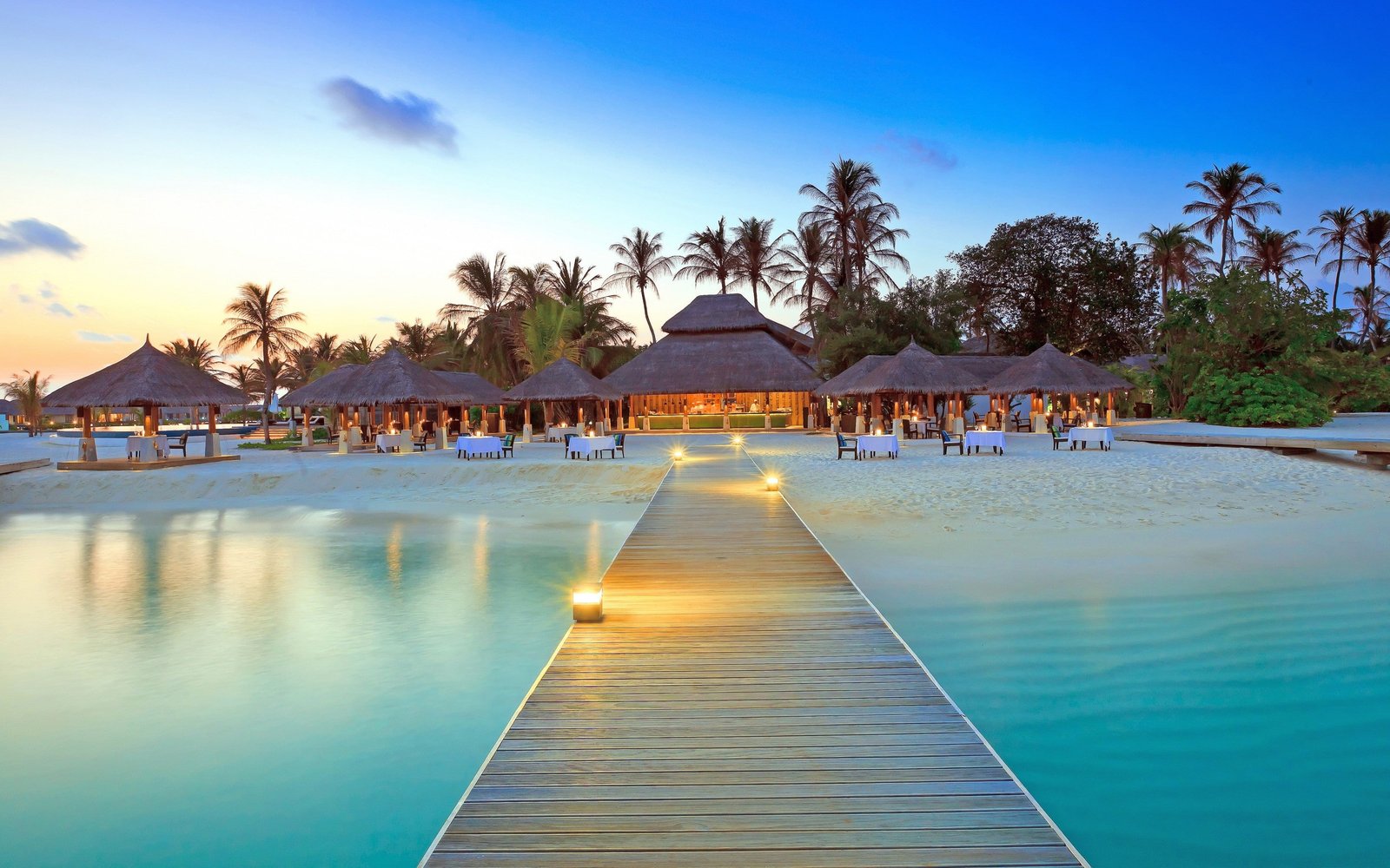 palm trees Maldives beach dock island 2k