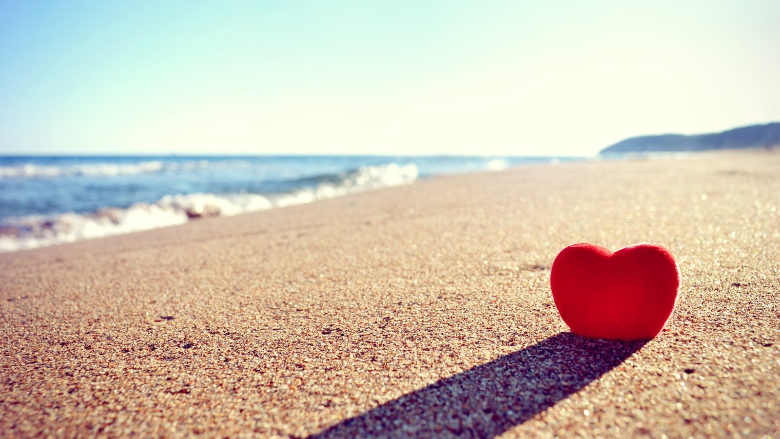 romantic baseball male happy people person caucasian 2k 4k