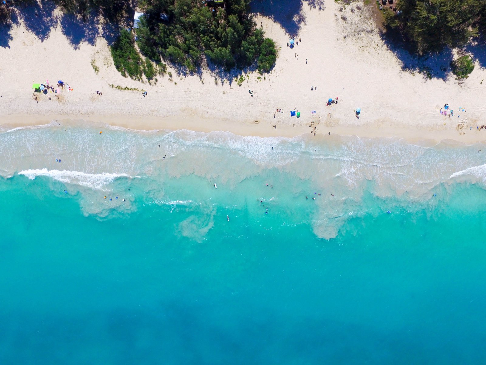 aerial view photography of people sunbathing on seashore bird s eye 2k 4k