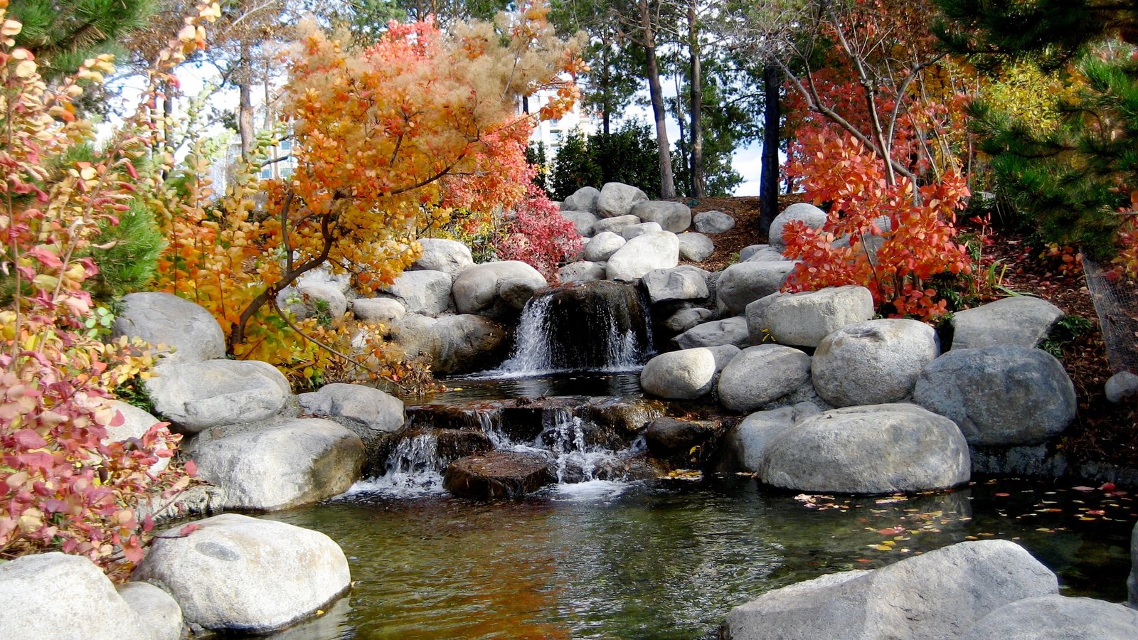 autumn boulder creek environment fall landscape leaves 2k