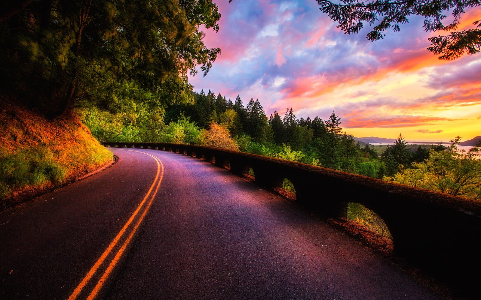 Beautiful sunset scenery forest trees road clouds colors 2k