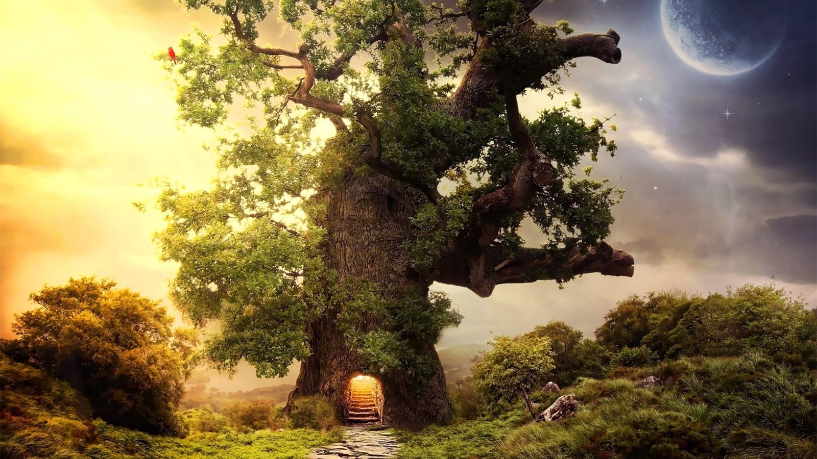 branch treehouse dreamland imagination fantasy digital art 2k 4k