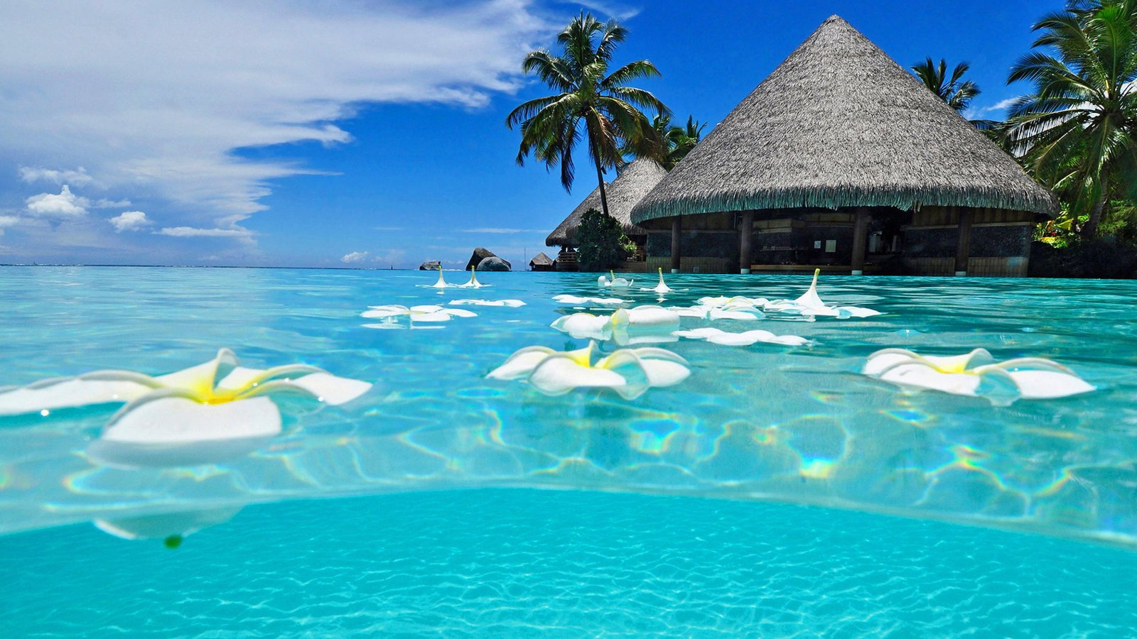 Cancun Mexico Beach Tropical Summer Hd Wallpapers 2k 4k