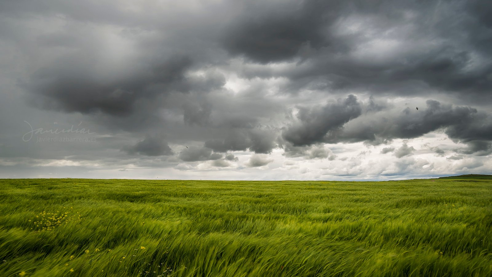 green grass field under gray sky Agua mayo lluvia clouds 2k 4k