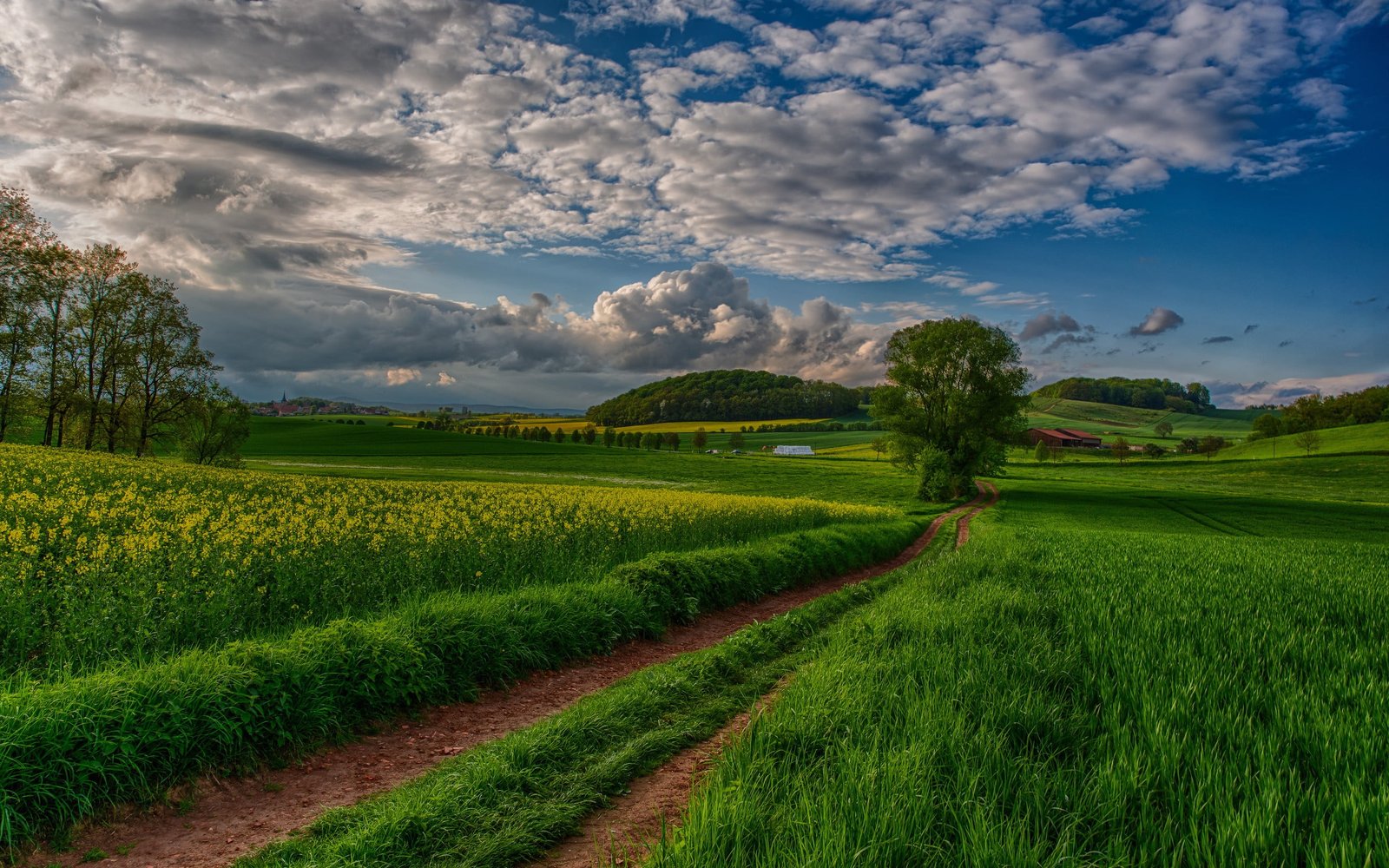 green grass lawn nature sky clouds field landscape pathway 2k