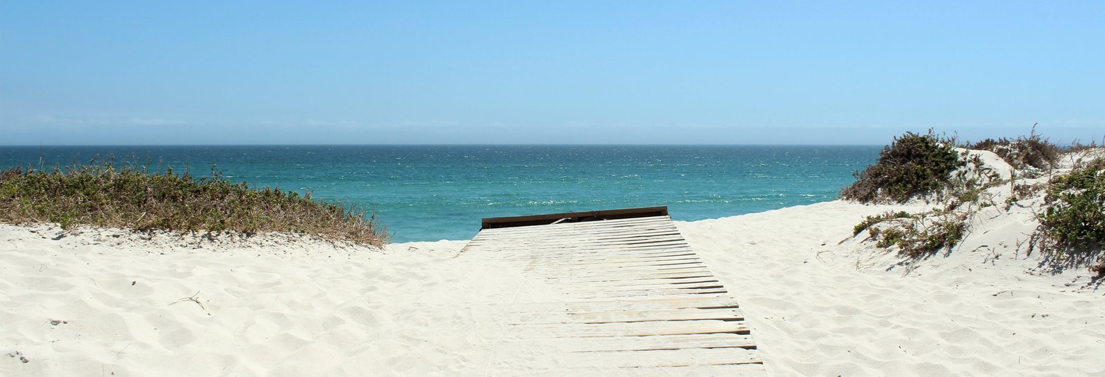 green grass on seashore ocean dune atlantic coast sand 2k 4k 5k