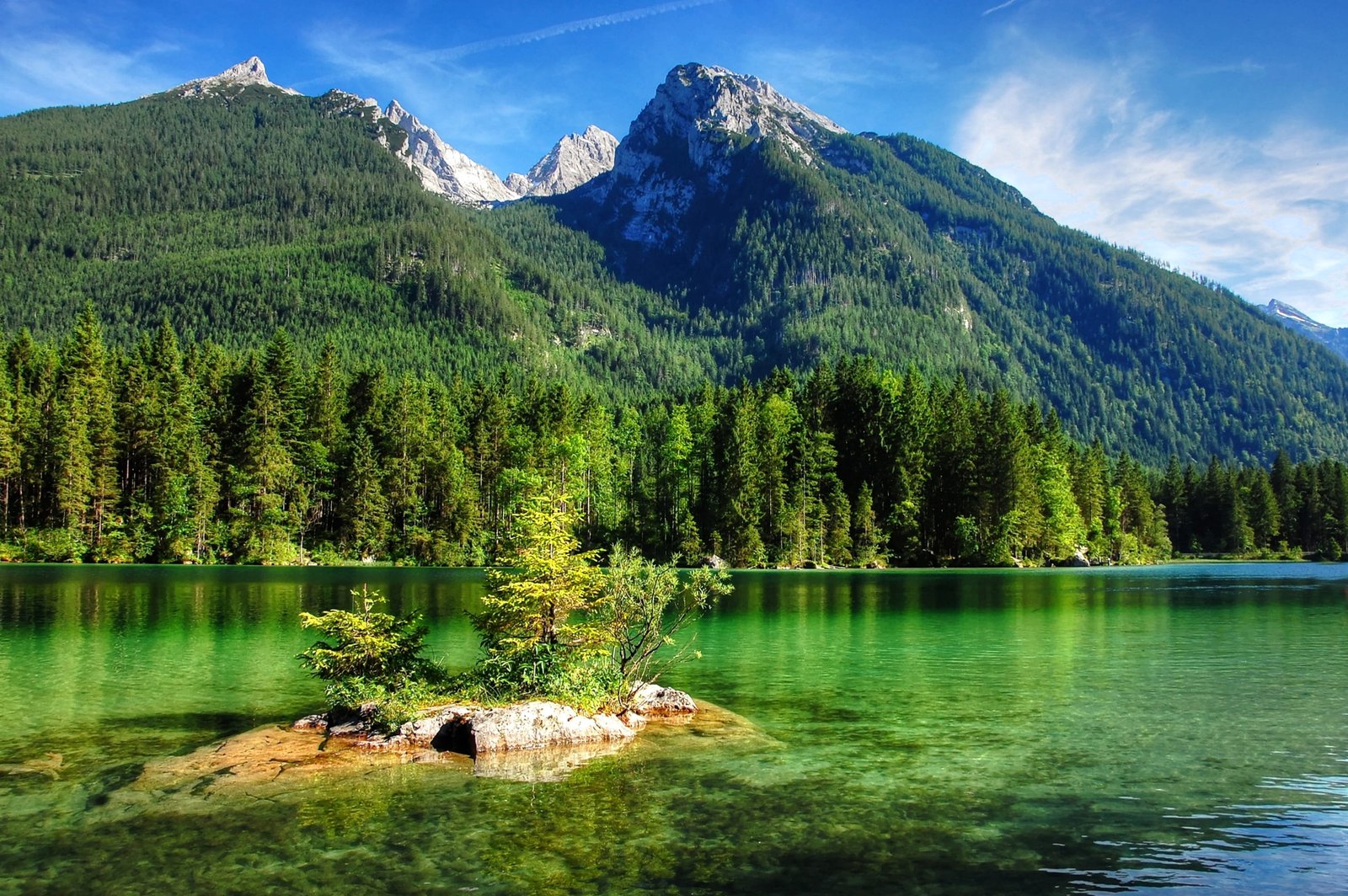 green tree on an island surrounded by body of water ramsau hintersee 2k