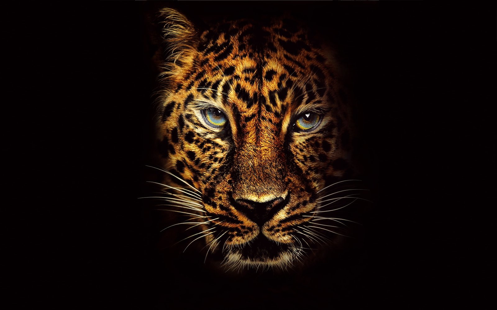 Jaguar in Jumanji Welcome to the Jungle one animal feline 2k 4k