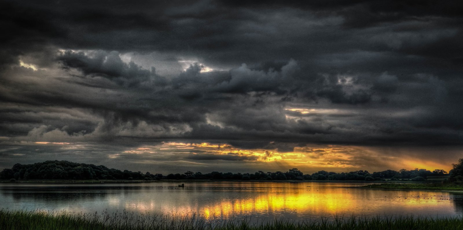 photo of watery field during golden hour Stormy weather stormy 2k 4k 5k