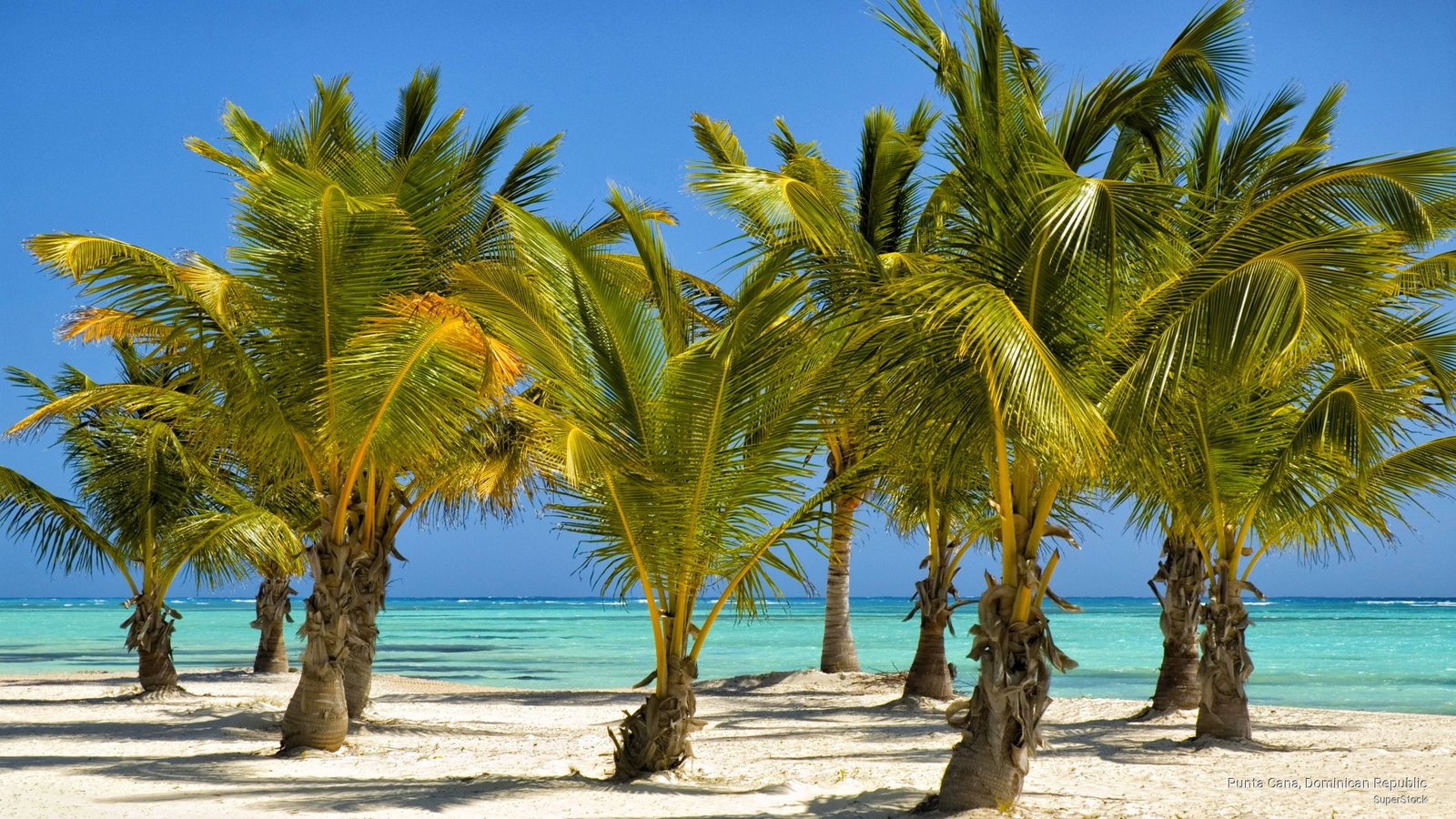 Punta Cana Dominican Republic Beaches 2k
