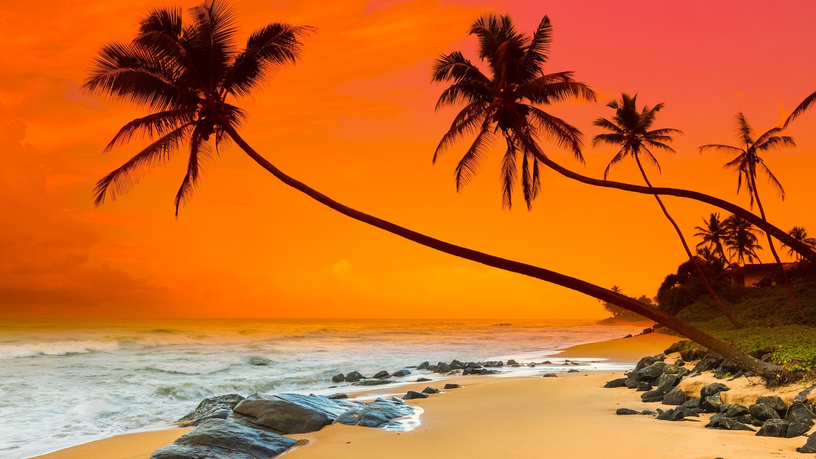 relaxing horizon ocean coast arecales sri lanka negombo 2k 4k