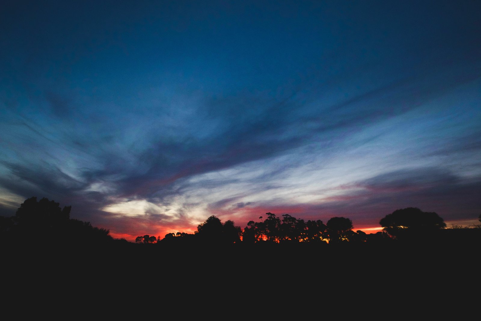 silhouette dark sky clouds trees sunset nature aesthetic 2k 4k 5k