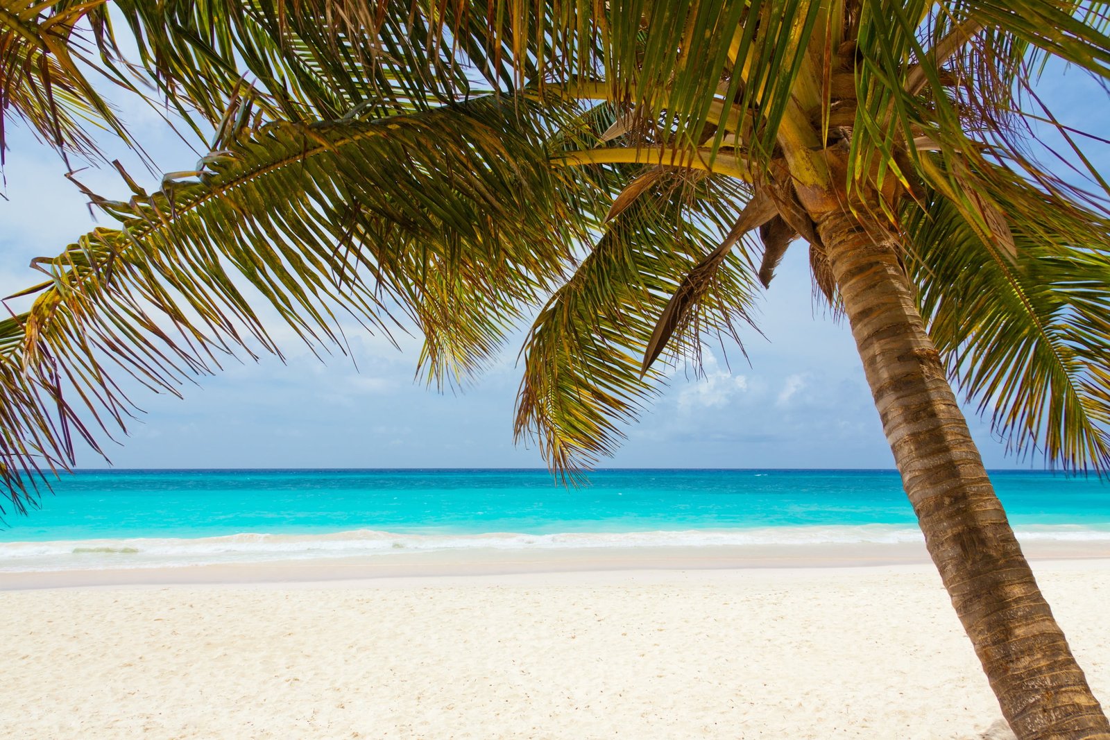 teal water beach near white sand beautiful blue coast landscape 2k