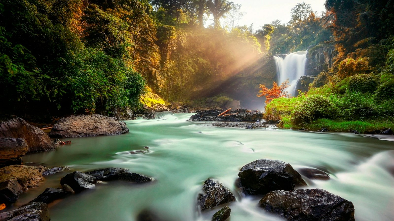 tegenungan waterfall ubud indonesia asia nature bali tree 2k 4k