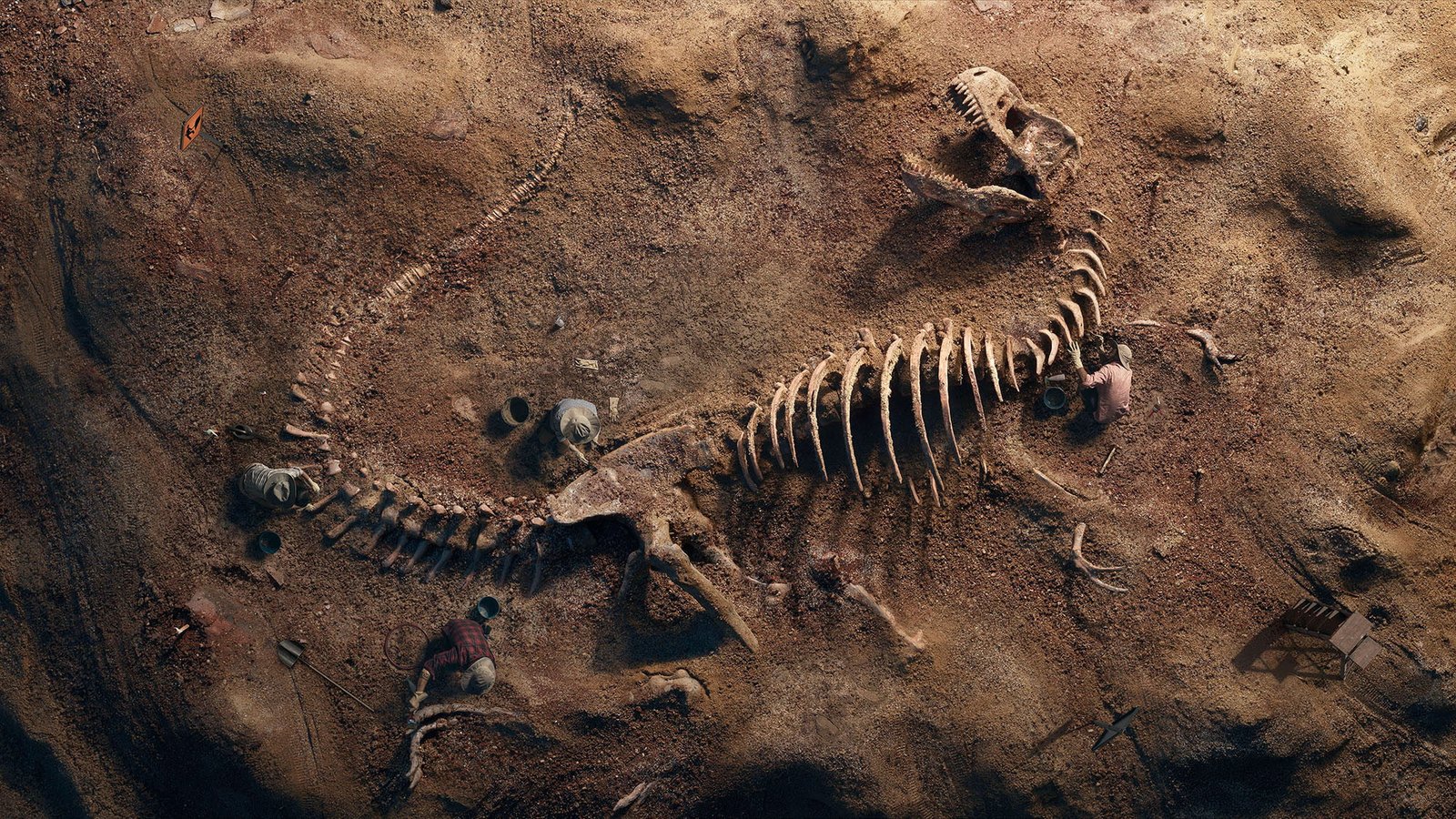 T Rex Fossil HD past Animal 2k
