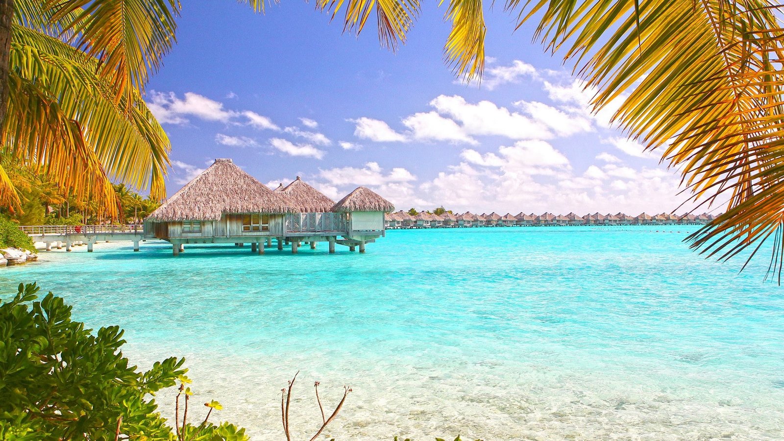 Tropical Beach Bora Polynesia Desktop Wallpaper 2k