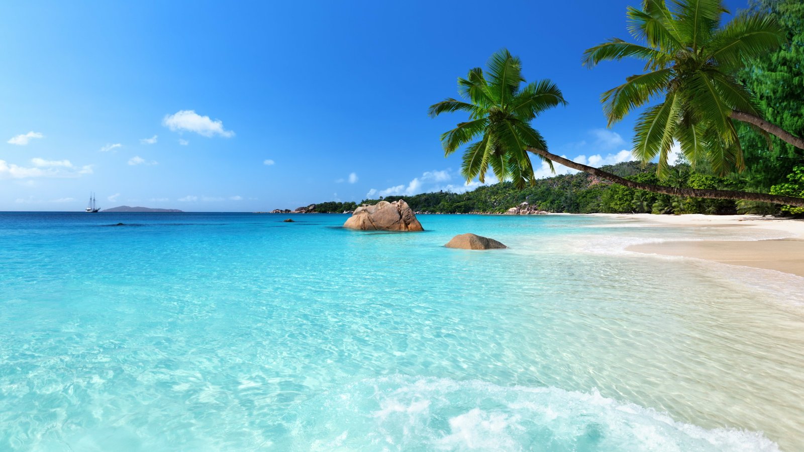 vacation sandy beach water crystal clear palm chevalier bay 9 2k 4k