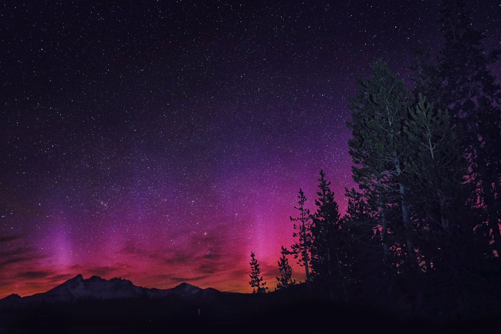 Aurora Borealis landscape night stars nature pink trees 2k 4k 5k