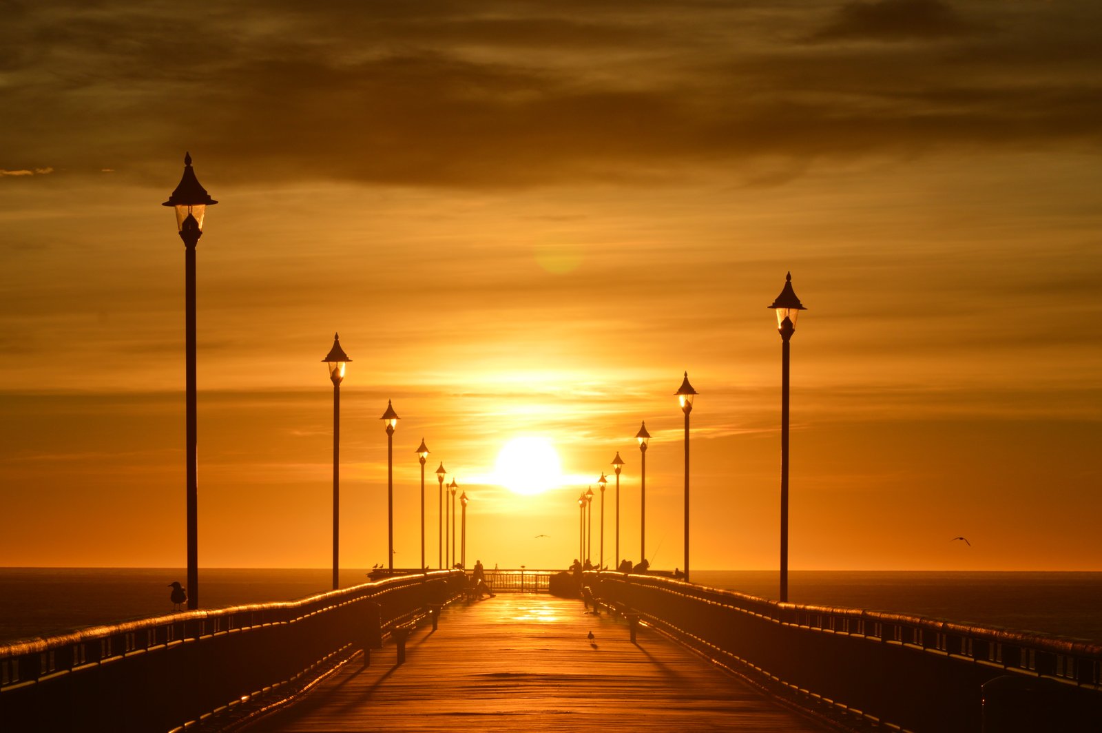bridge during sunset sunrise beach new Brighton pier 2k 4k 5k