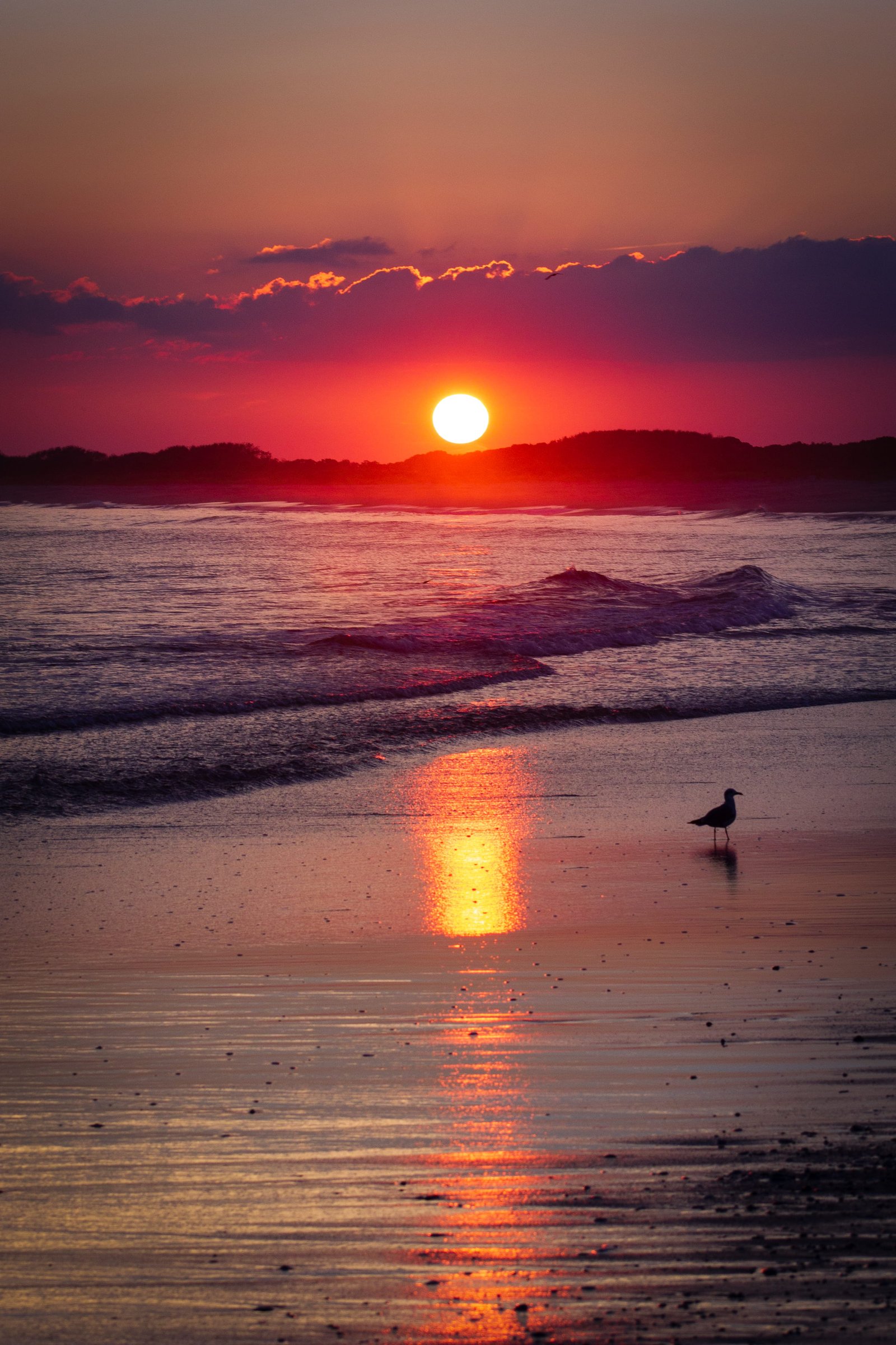 cape may united states northeast new jersey sunset wallpaper 2k
