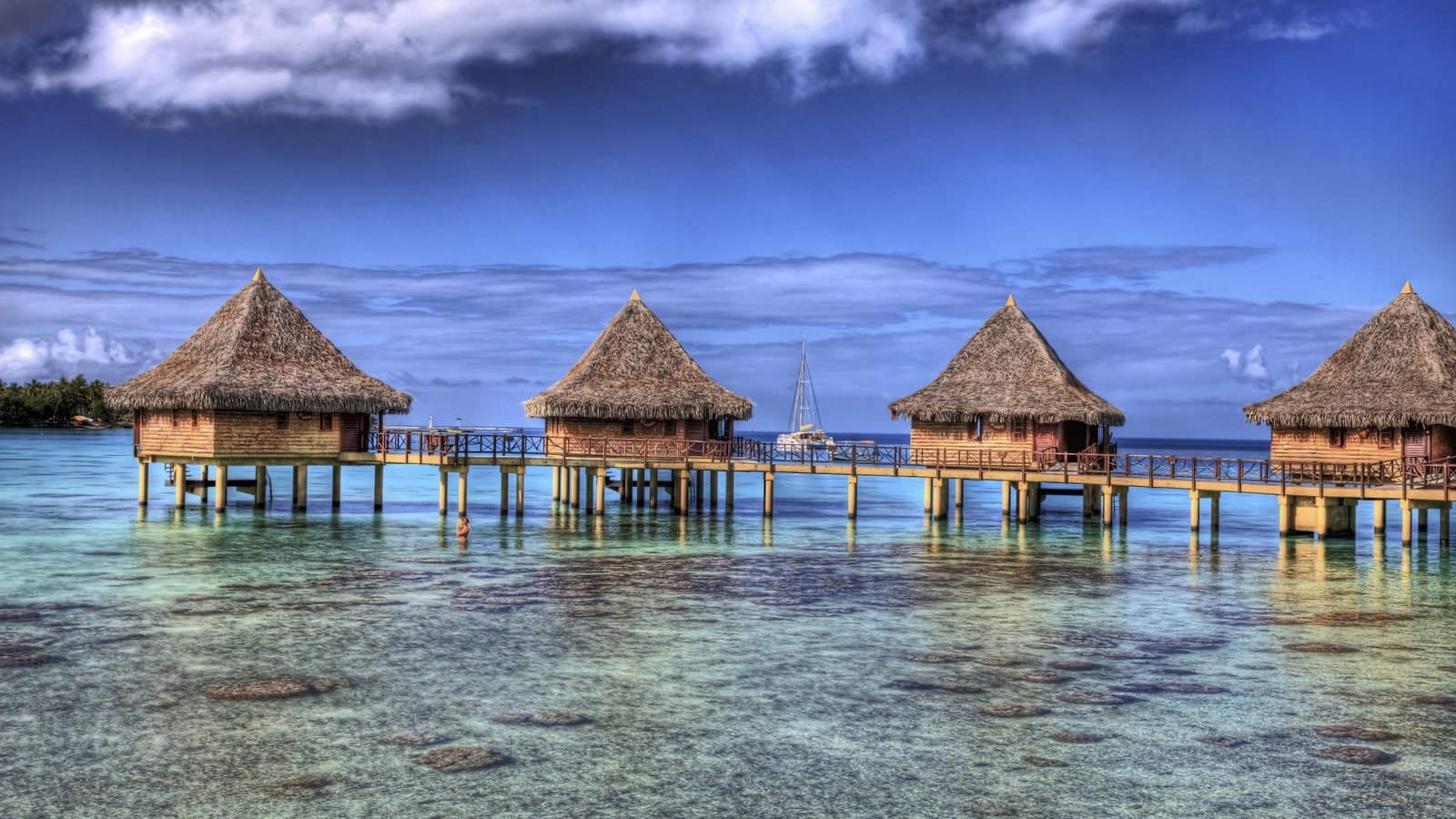 four brown house cottages nature landscape resort French Polynesia 2k 4k