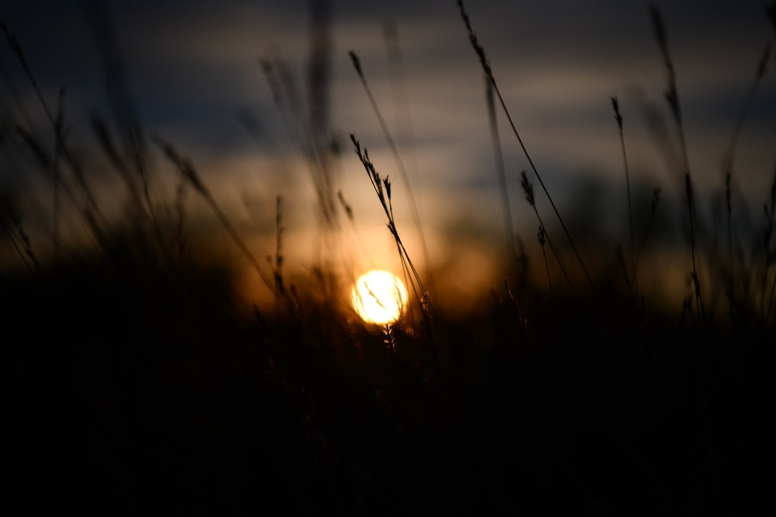 grass clouds sun rays nature blurred dark 2k 4k 5k 8k