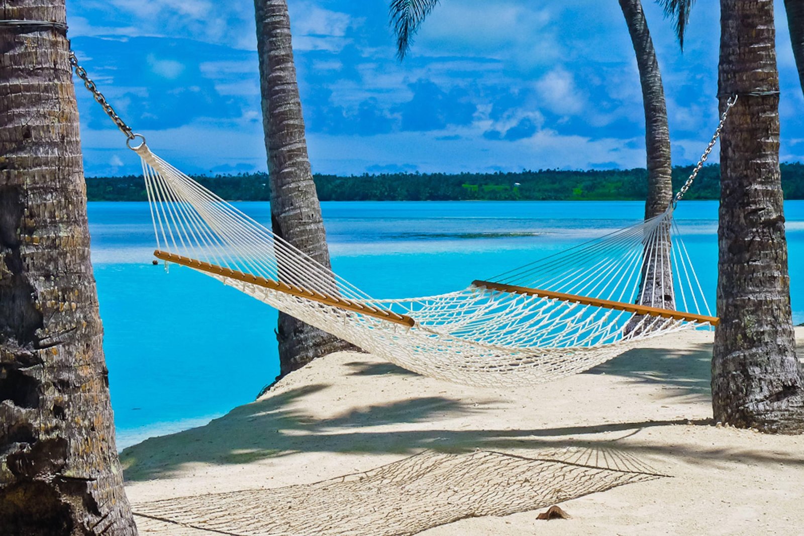 Hammock on Beach in the South Pacific white knit hammock island 2k 4k