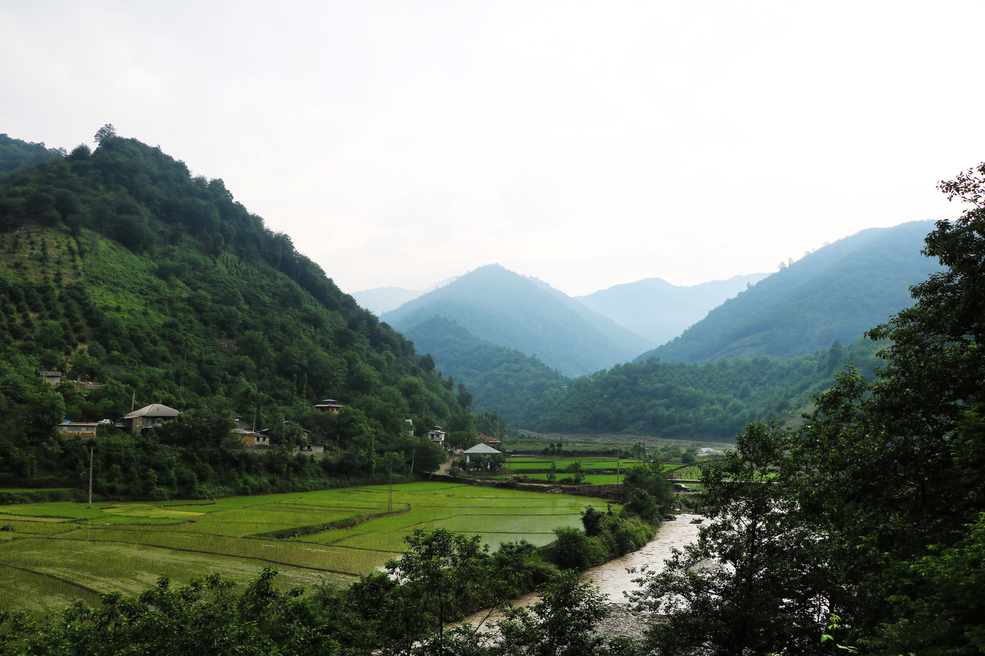 iran ramsar mazandaran province forest beauty gilan natural 2k 4k