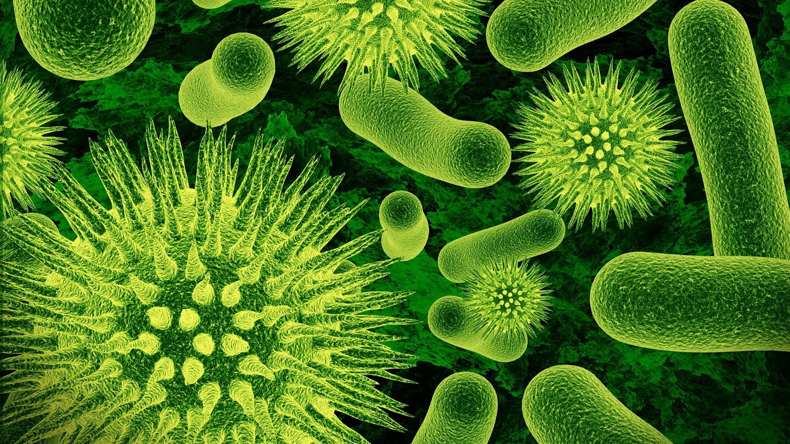 microscopic photo of bacteria nature closeup viruses science 2k