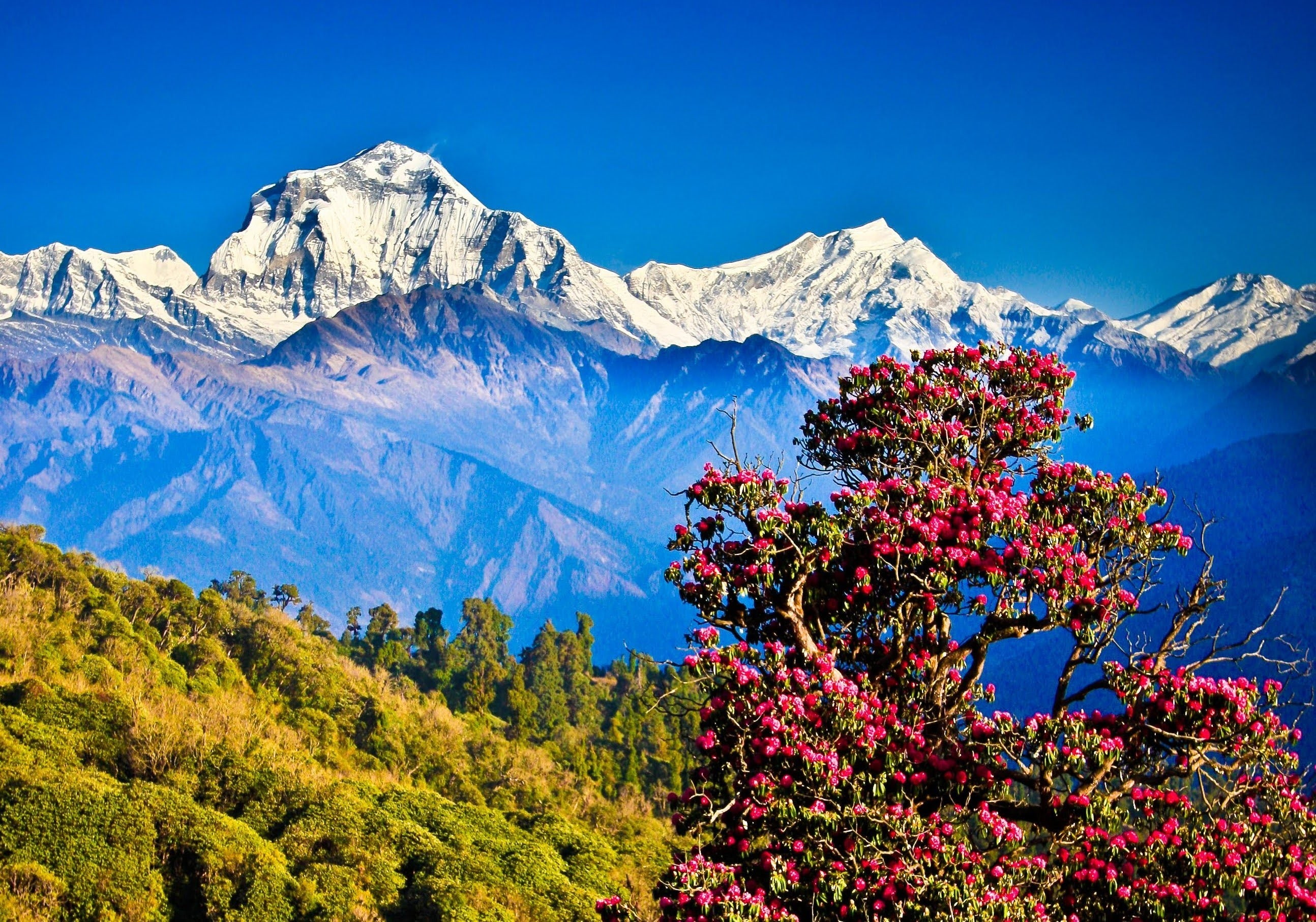 Nepal Himalayas mountains nature landscape clear sky hills 2k