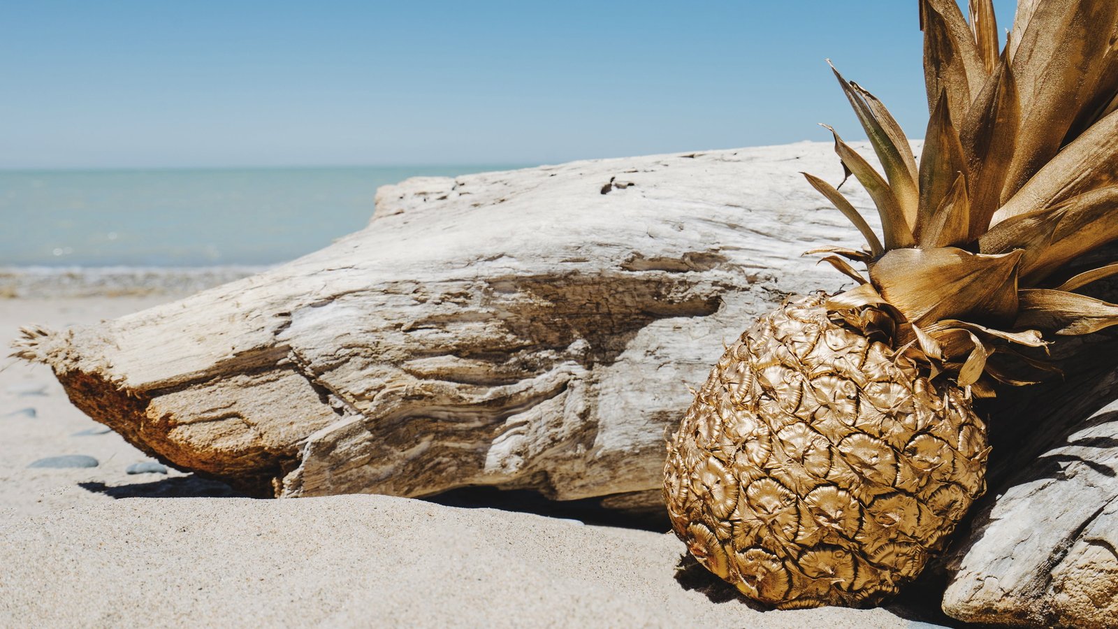 photography pineapples beach landscape sky nature beauty in 2k 4k