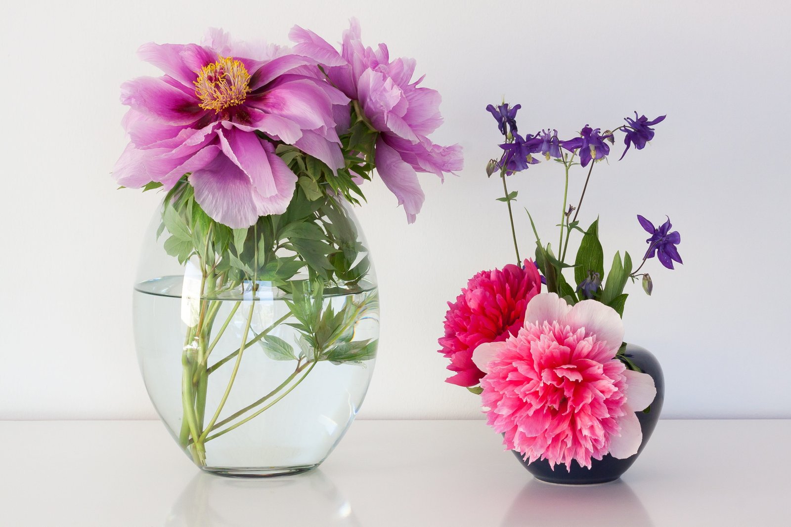 pink and purple petal flowers in vases peony pentecost nature 2k 4k 5k