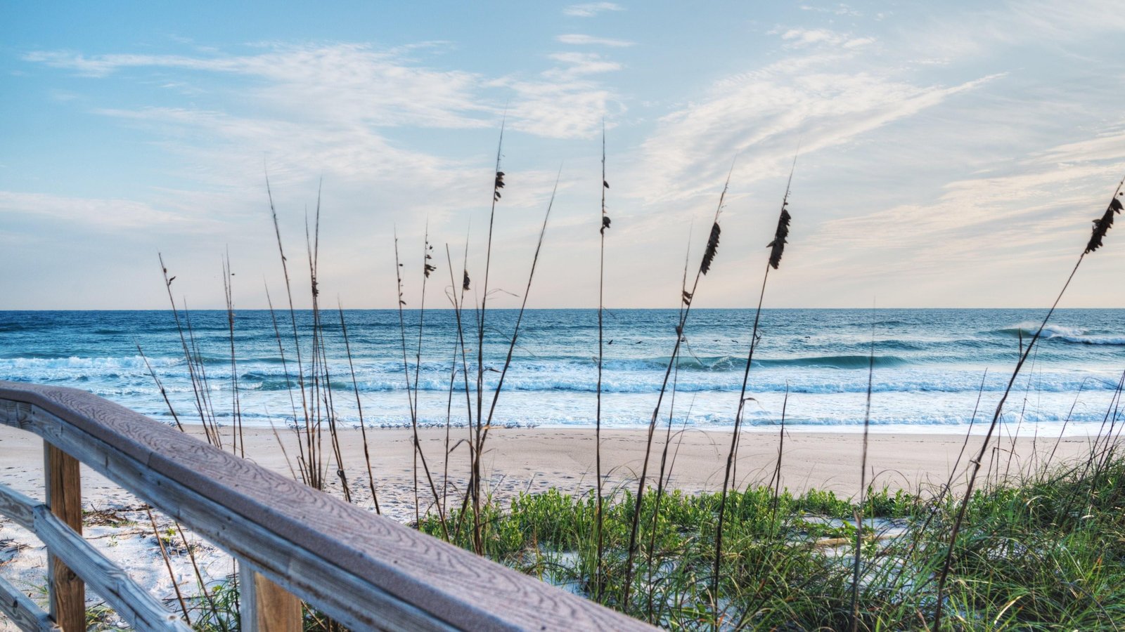 seashore sky grass sand dunes sandy florida beach united states 2k 4k