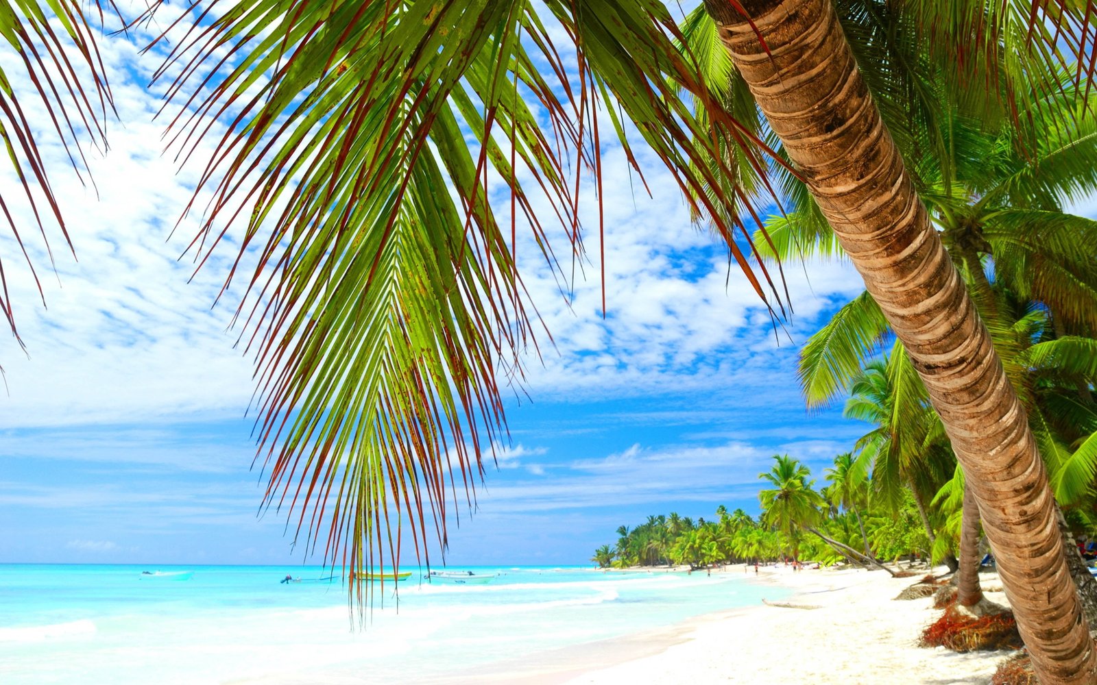 Tropical Island Vacation Sea Water Sky Sun Palm Beach Sand Wallpapers Hd Images For Desktop And Mobile 2k 4k
