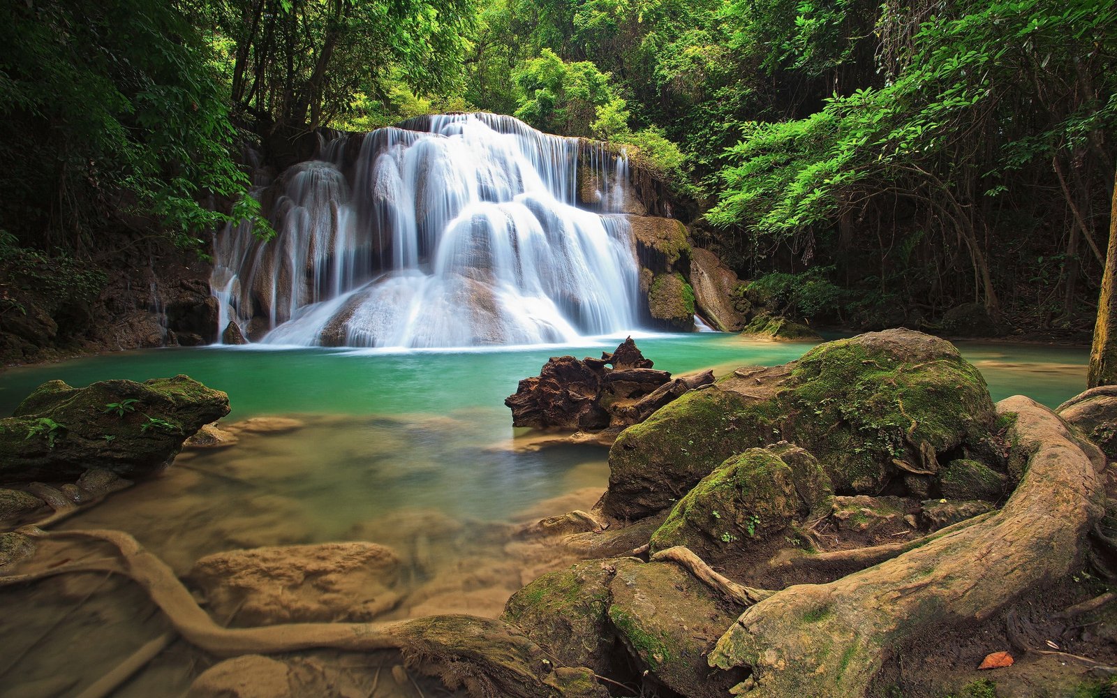 Waterfall Pond Rocks Stones Moss Timelapse Jungle Forest Trees HD 2k