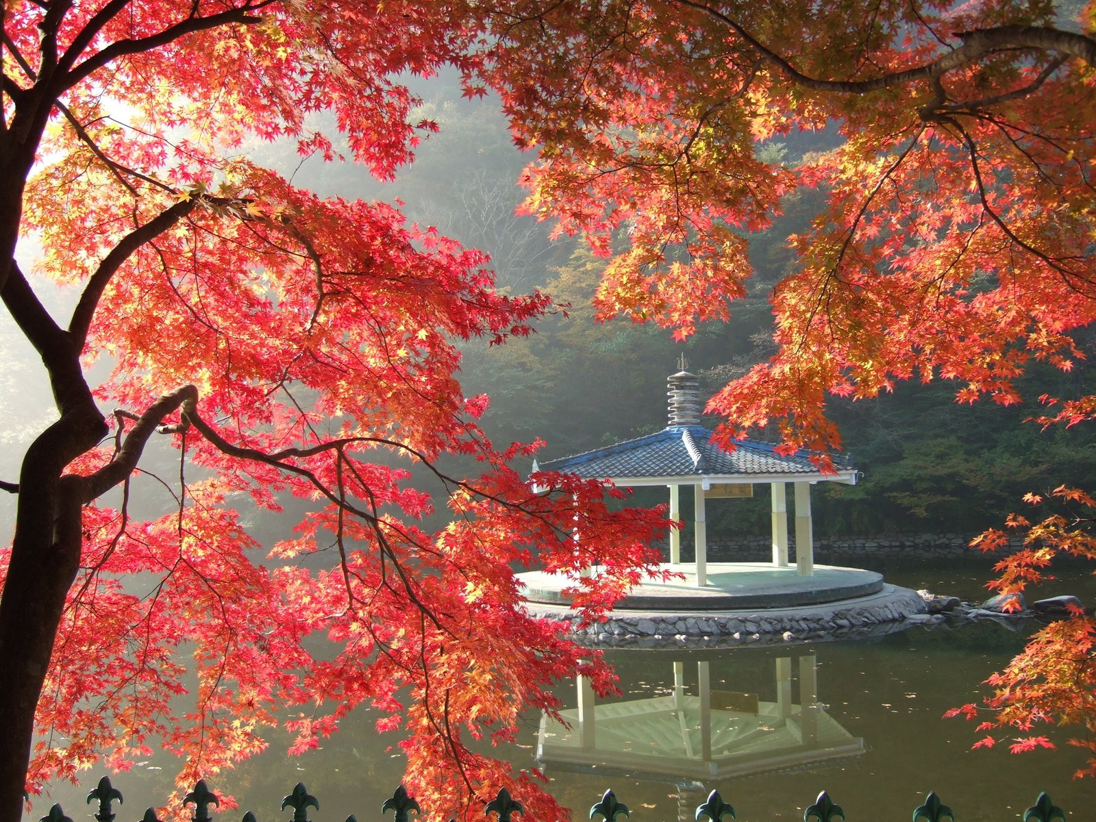 white concrete gazebu on calm water near trees nature autumn leaves 2k