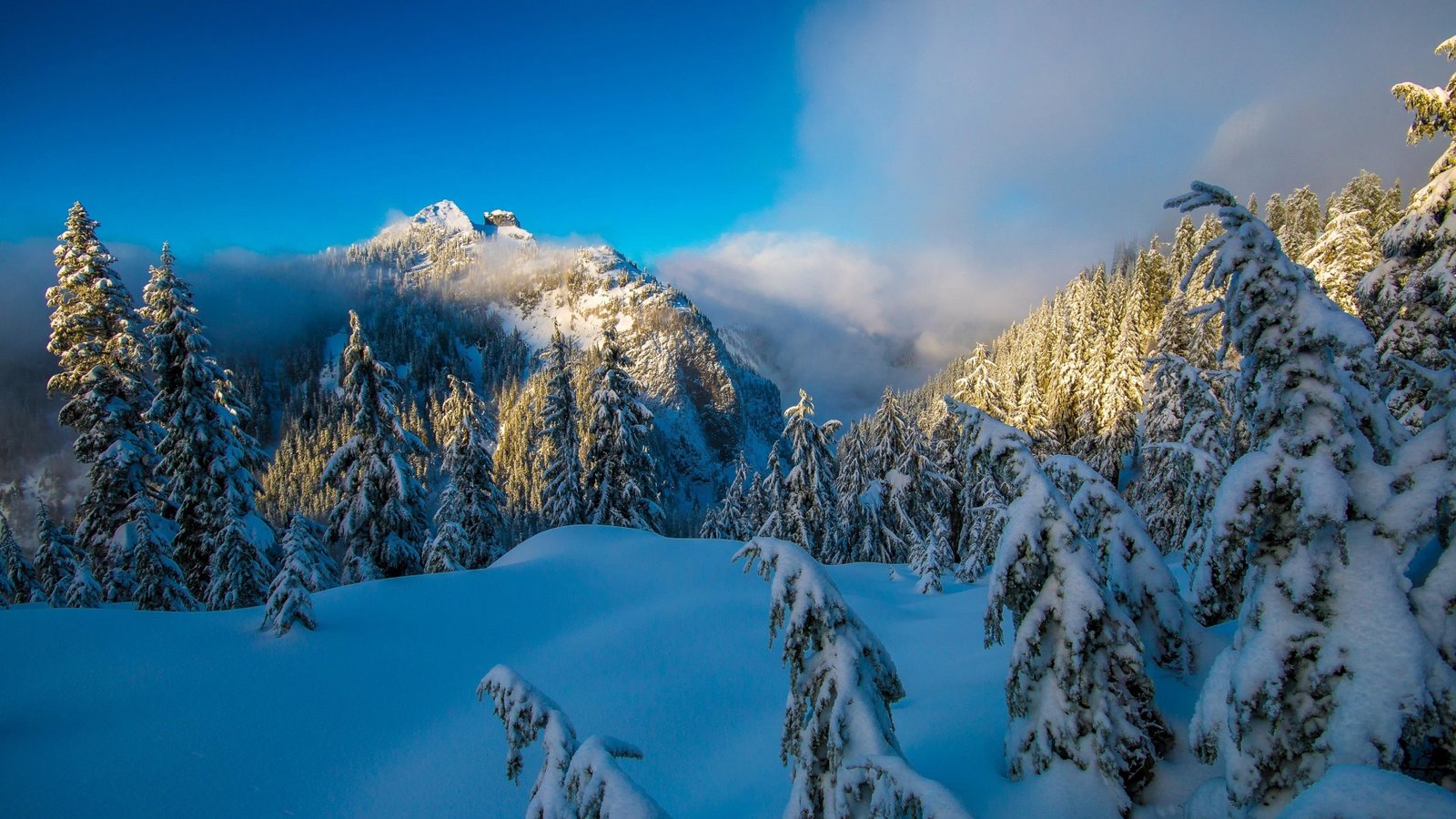 winter north shore mountains canada snow vancouver snowy 2k 4k