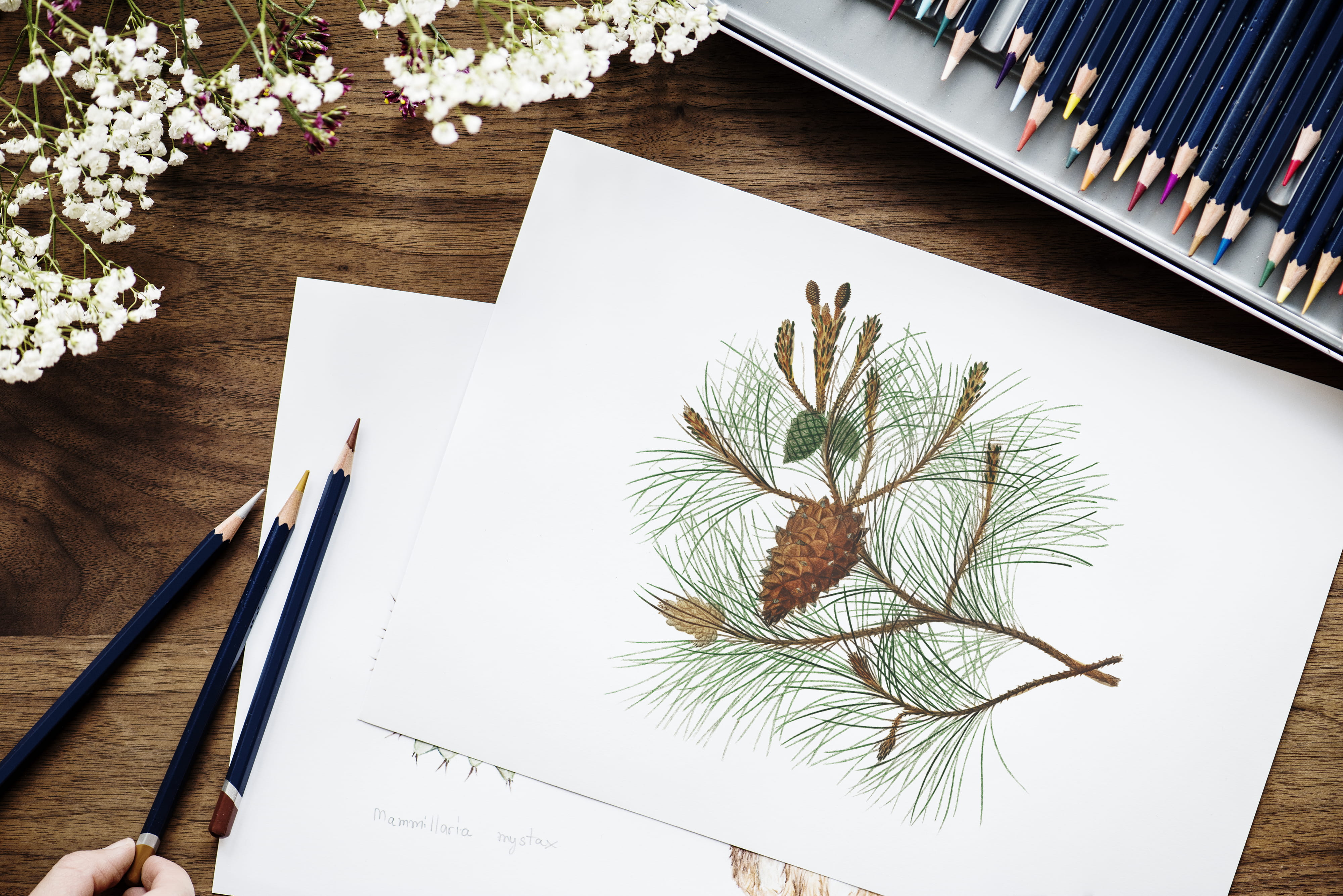 adorable art beautiful brainstorming business businesswoman 2k 4k