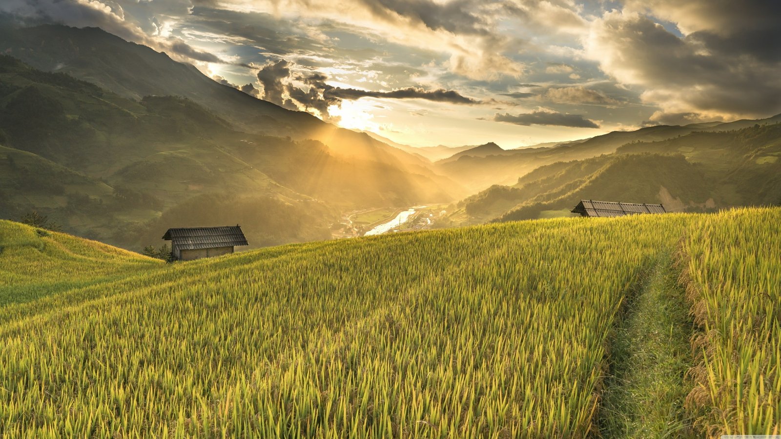 asia hut sunrise terrace terraces rice path 2k 4k