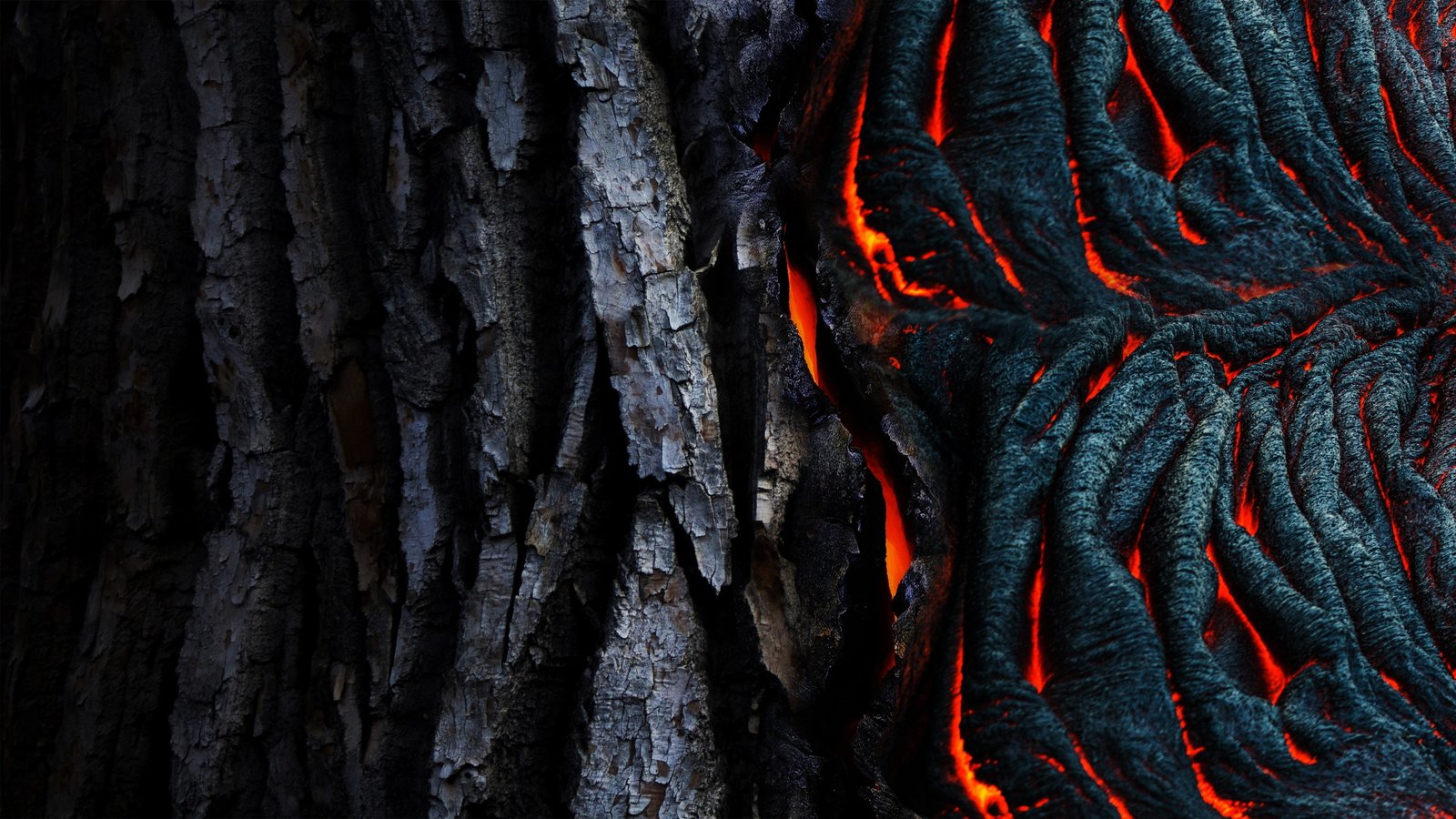 black tree bark abstract lava texture nature forest fire Natural Phenomenon 2k 4k