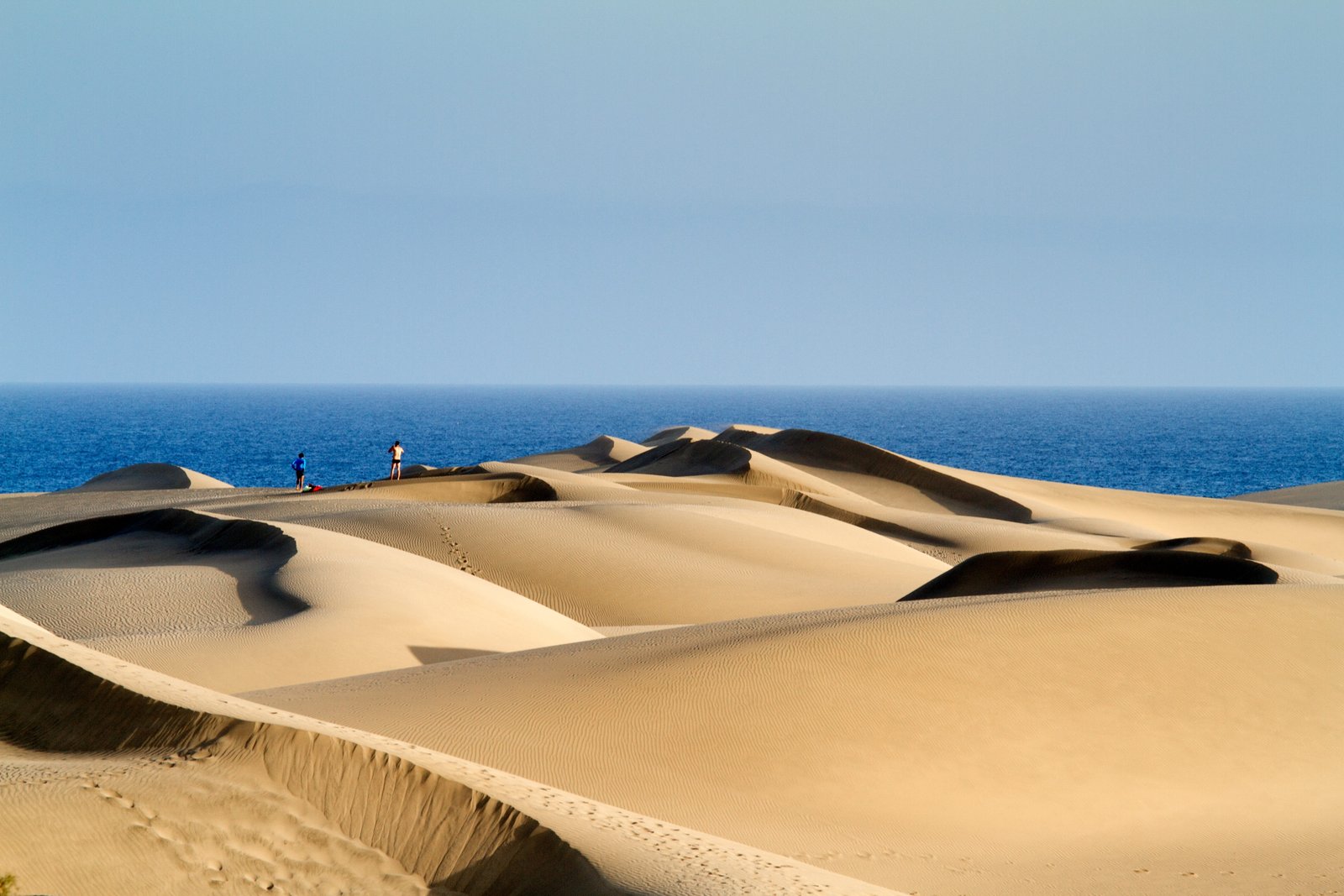 brown dessert at daytime Maspalomas Dunes Sand gran canaria 2k 4k 5k